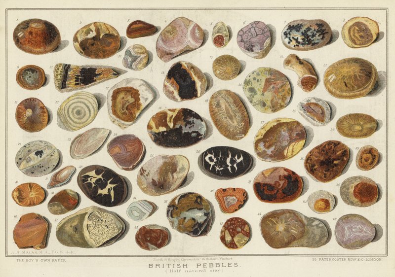 Brytyjskie kamyki (chromolitho) autorstwa English School