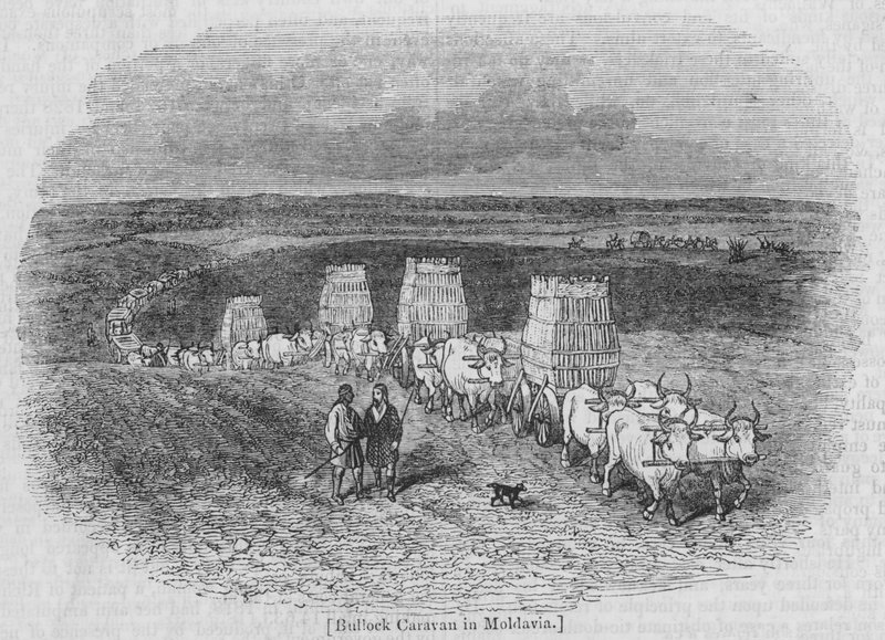 Bullock Caravan w Mołdawii autorstwa English School