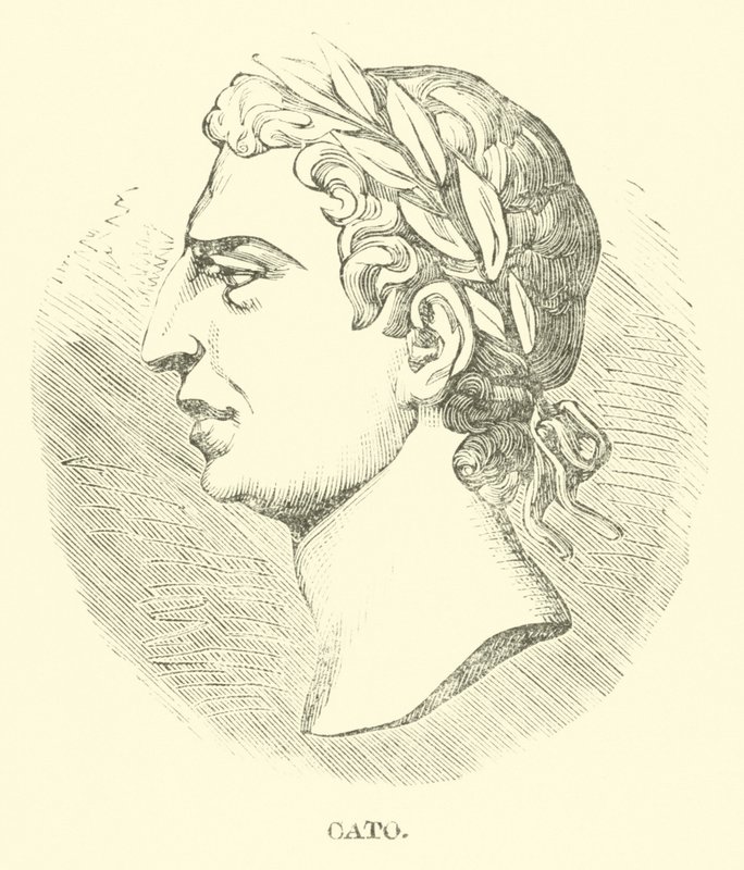 Cato autorstwa English School