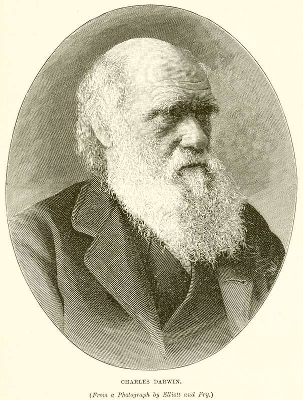 Karol Darwin autorstwa English School