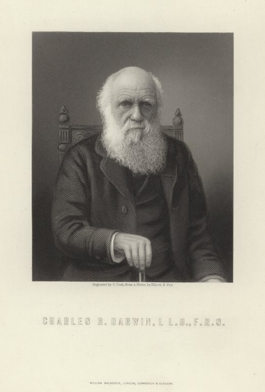 Karol R. Darwin autorstwa English School