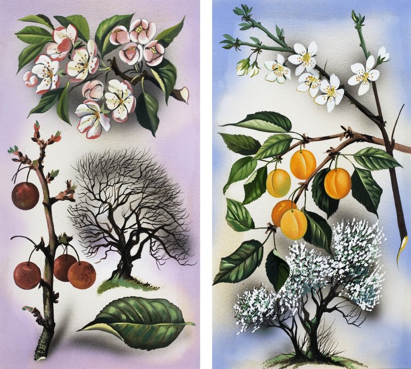Cherry and Apricot treespoli autorstwa English School