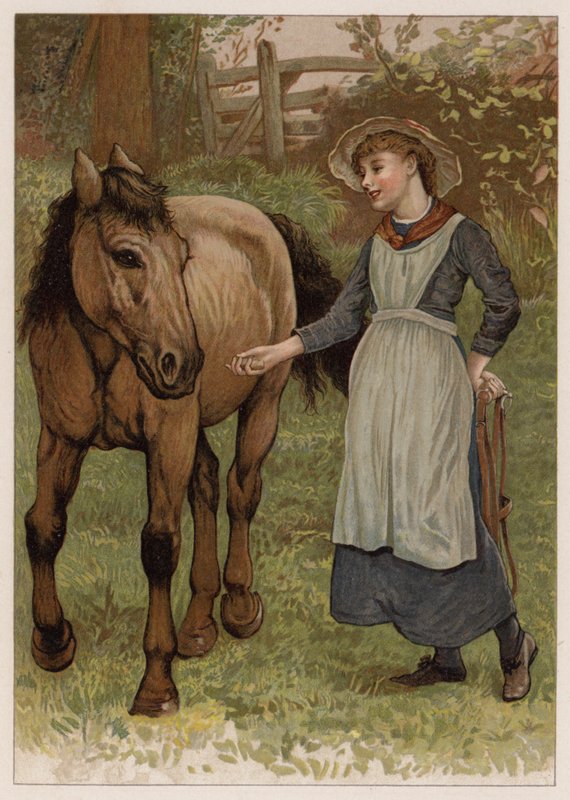 Clever Dobbin (chromolitho) autorstwa English School