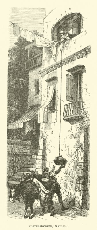 Costermonger, Neapol autorstwa English School