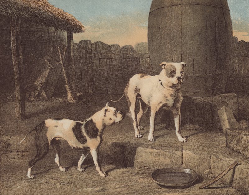 Szopka i Rosa (chromolitho) autorstwa English School