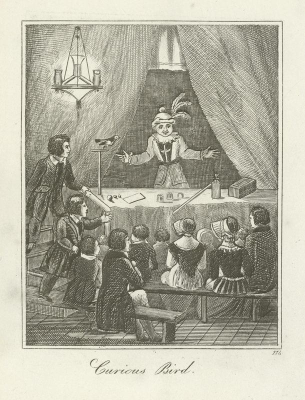 Ciekawski Ptak autorstwa English School