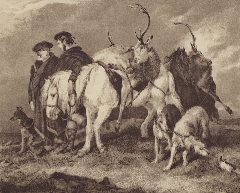Polowanie na jelenie (chromolitho) autorstwa English School