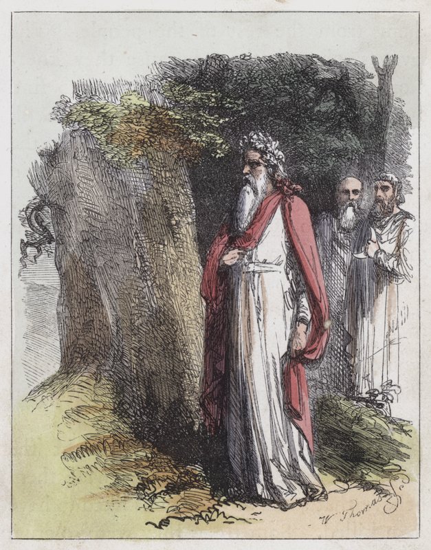 Druidzi (kolorowy grawerunek) autorstwa English School