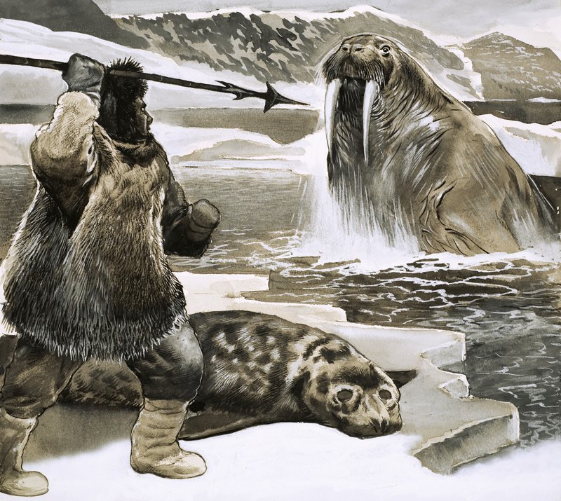 Eskimos atakujący morsa autorstwa English School