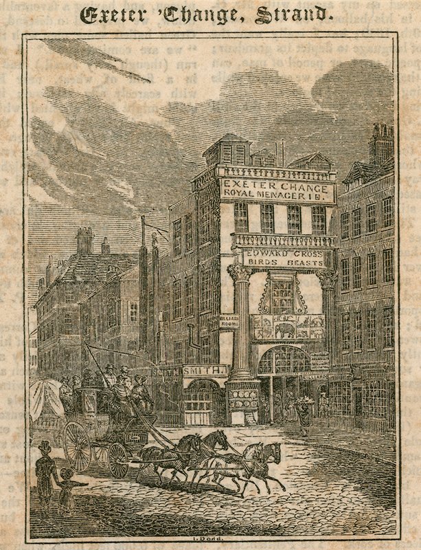 Exeter Change, The Strand, Londyn autorstwa English School