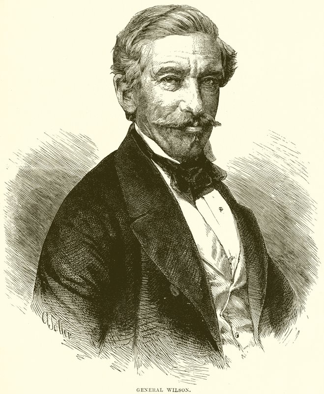 Generał Wilson autorstwa English School