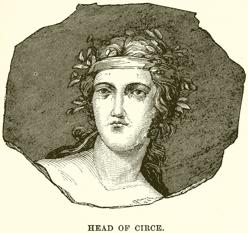 Szef Circe autorstwa English School