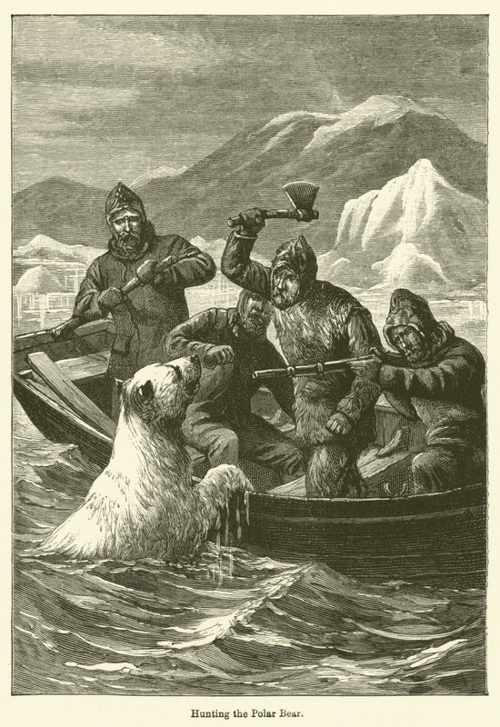 Polowanie na niedźwiedzia polarnego (grafika) autorstwa English School