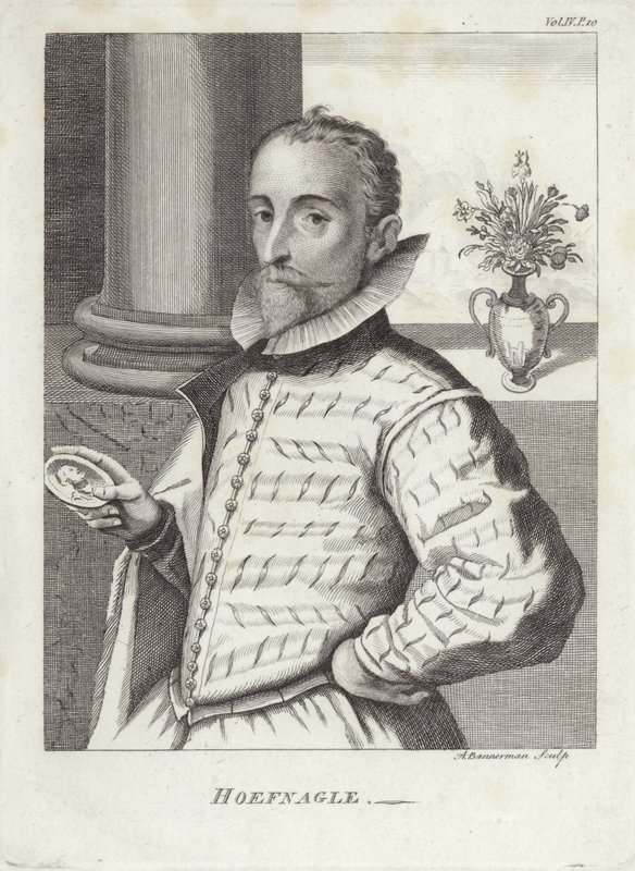 Joris Hoefnagel autorstwa English School