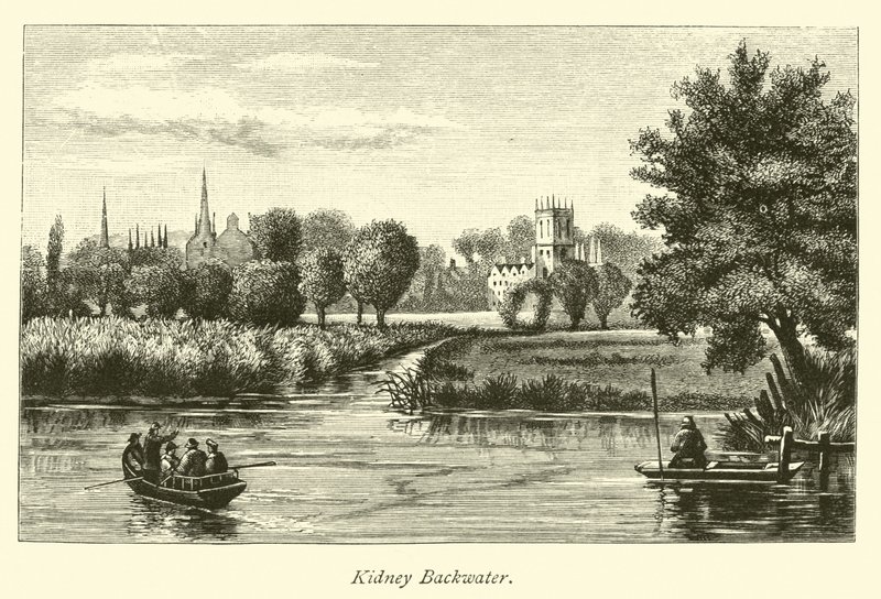 Nerka Backwater autorstwa English School