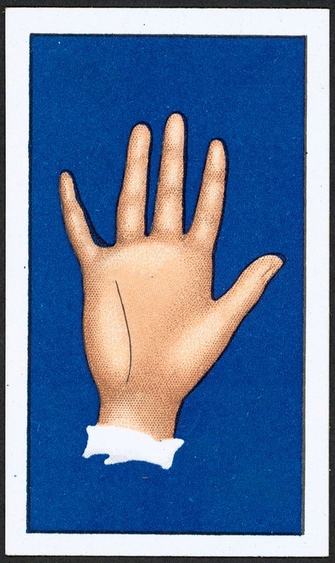 Linia Intuicji (kolor lito) autorstwa English School