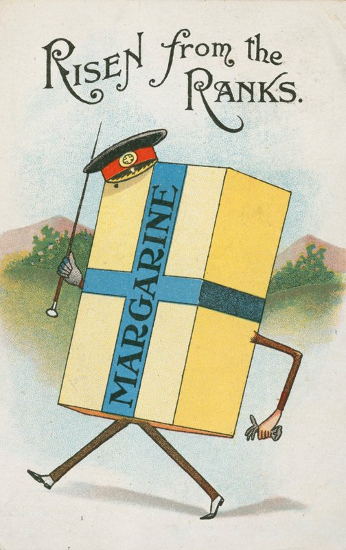 Margaryna (kolor lito) autorstwa English School