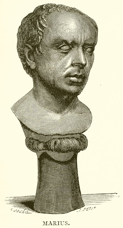 Mariusz autorstwa English School