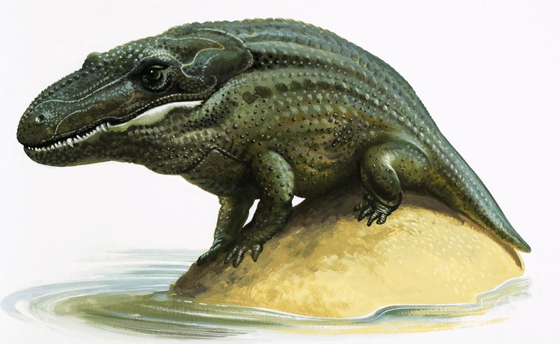 Mastodonozaur autorstwa English School