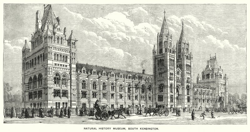 Muzeum Historii Naturalnej, South Kensington (grafika) autorstwa English School