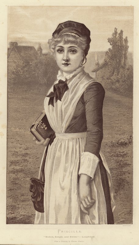 Priscilla autorstwa English School