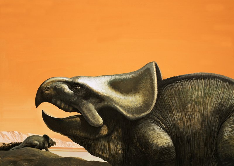 Protoceratops autorstwa English School