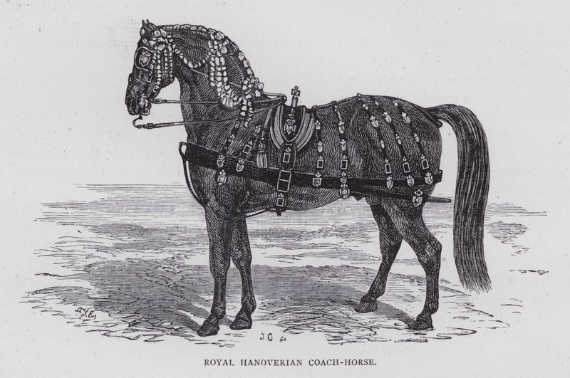 Royal Hanoverian Coach-Horse (grawerowanie) autorstwa English School