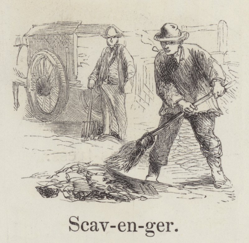 Scavenger (grawerowanie) autorstwa English School