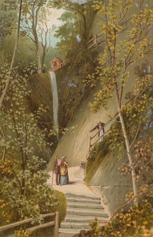 Shanklin Chine – Wyspa Wight autorstwa English School