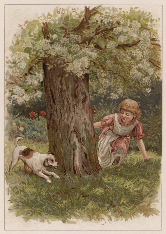 Shappy (chromolitho) autorstwa English School
