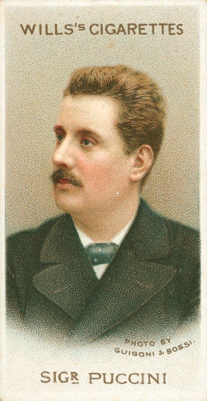 Sigr Puccini autorstwa English School