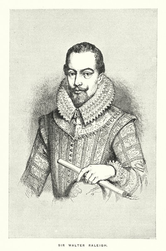 Sir Walter Raleigh (grafika) autorstwa English School