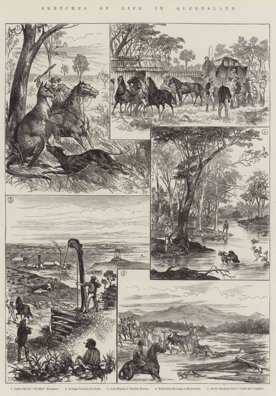 Szkice z życia w Queensland (grafika) autorstwa English School
