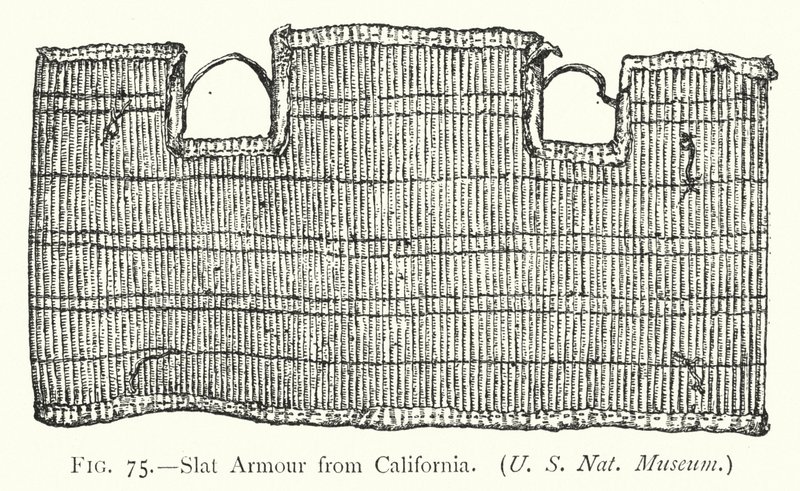 Slat Armor z Kalifornii (lito) autorstwa English School