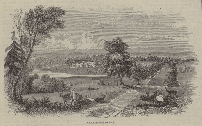 Strathfieldsaye autorstwa English School