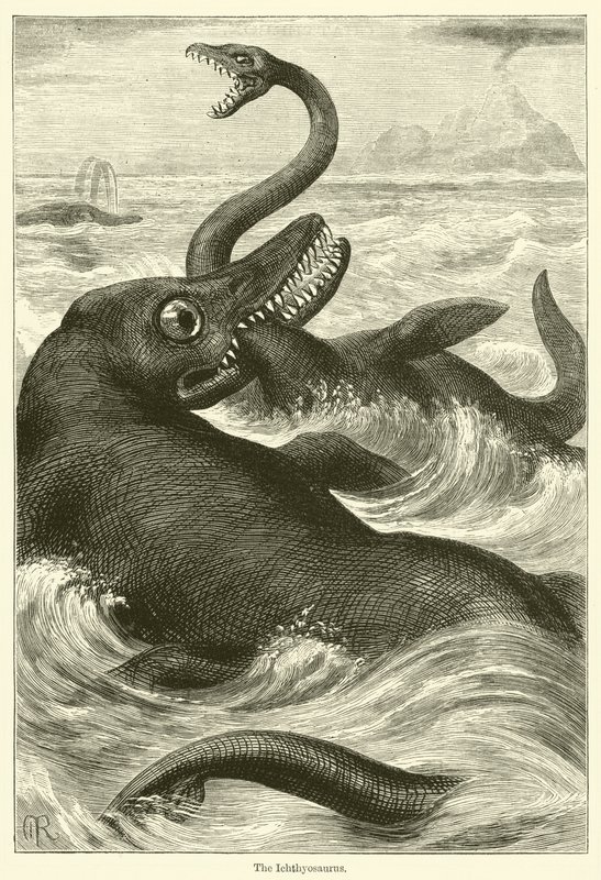 Ichtiozaur (rycina) autorstwa English School
