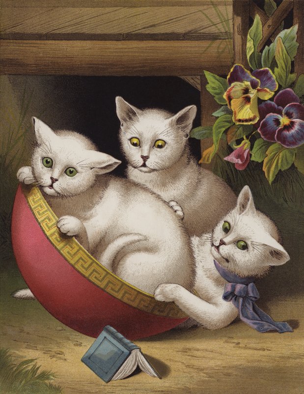 Wesoły kotek (chromolitho) autorstwa English School