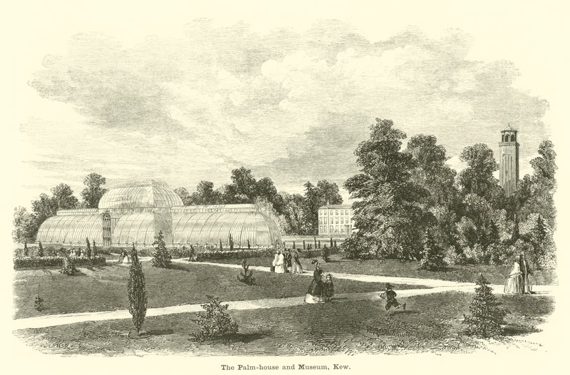 Palmiarnia i Muzeum, Kew autorstwa English School