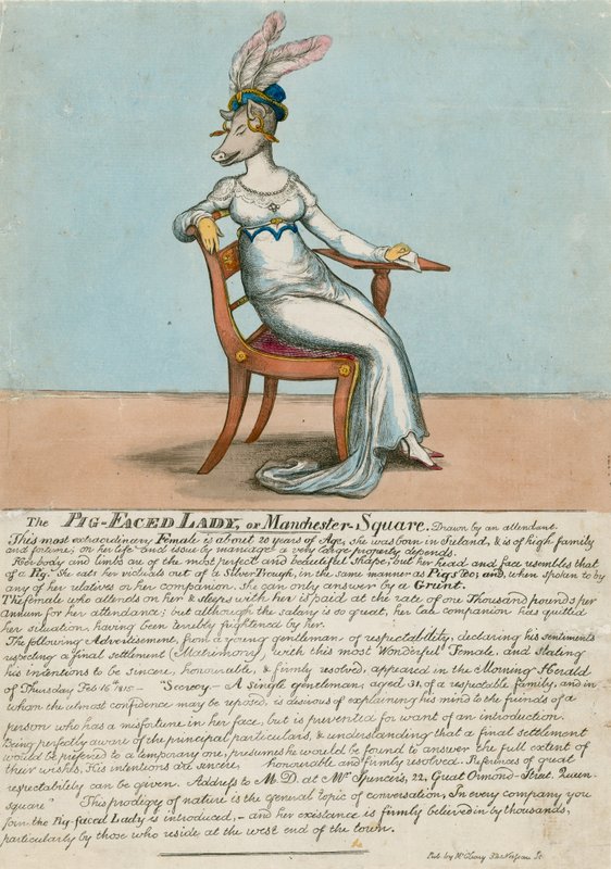 Lady of Manchester Square z twarzą świni, Londyn autorstwa English School
