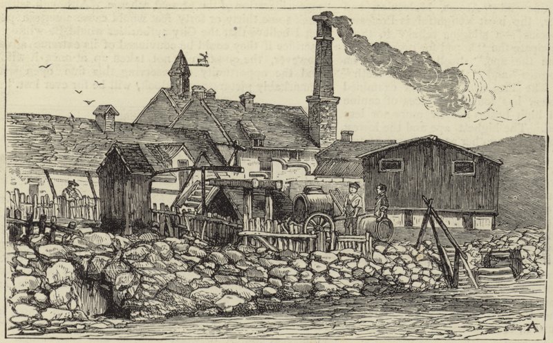 Królowa w Balmoral autorstwa English School