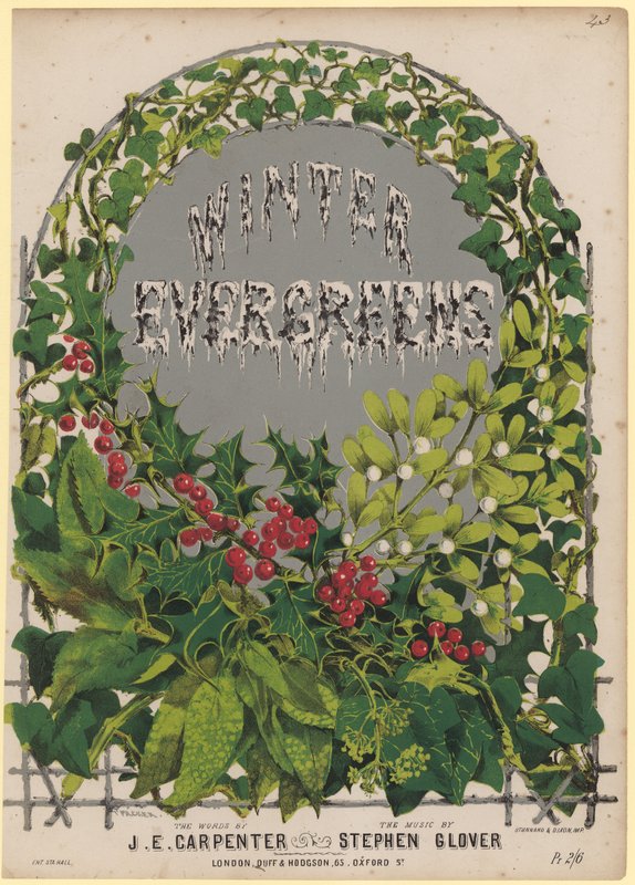 Zima zimozielone autorstwa English School