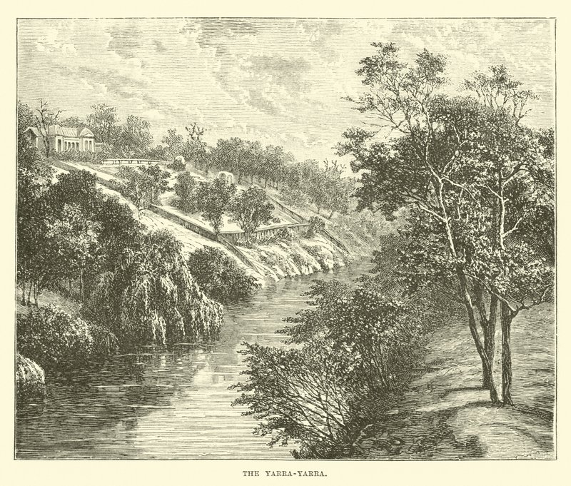 Yarra-yarra autorstwa English School