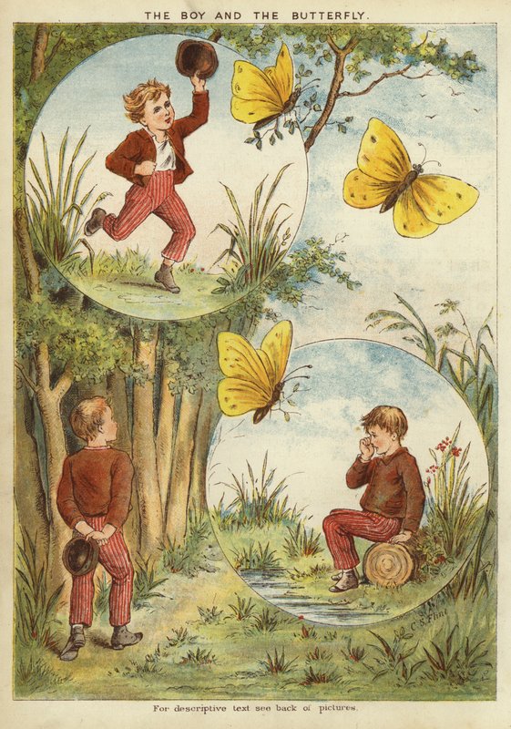 Chłopiec i motyl (chromolitho) autorstwa English School