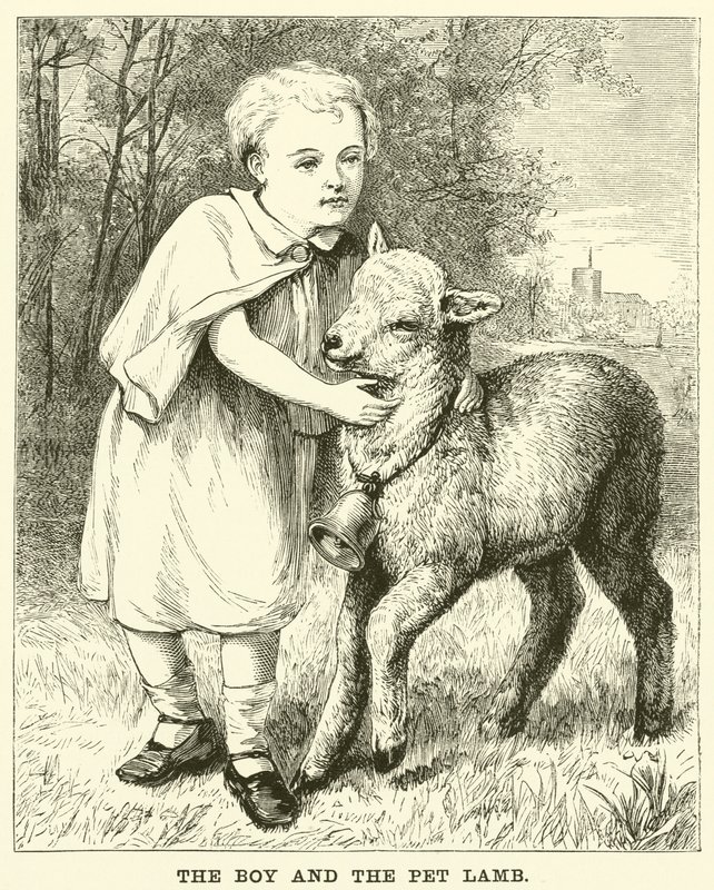 Chłopiec i jagnię domowe (grawerunek) autorstwa English School