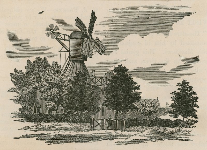Stary młyn na Wimbledon Common autorstwa English School
