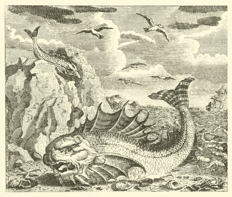 Tuńczyk i delfin (rycina) autorstwa English School