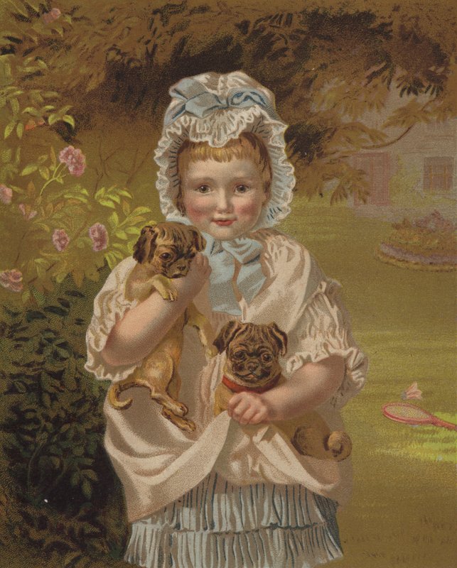Tiny Pets (chromolitho) autorstwa English School