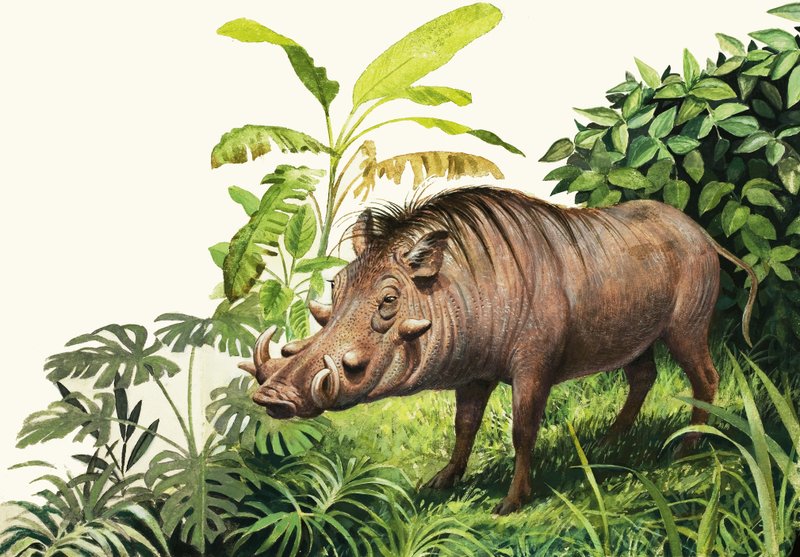 Warthog autorstwa English School