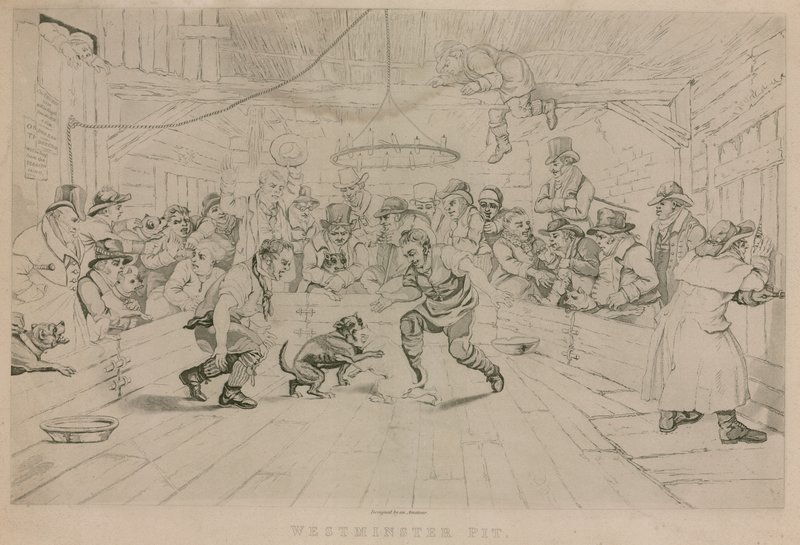 Westminster Pit autorstwa English School