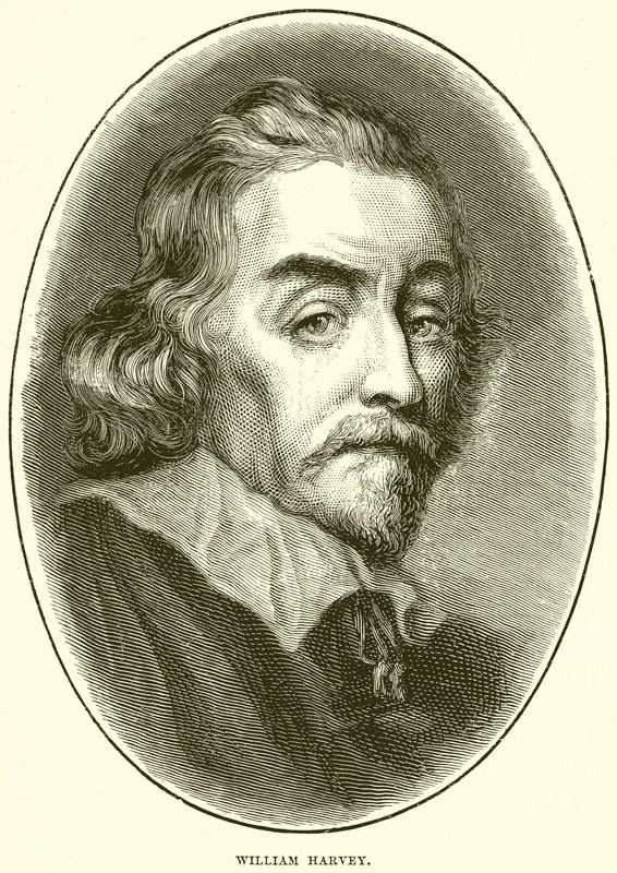 William Harvey autorstwa English School
